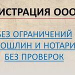 Светлана:  Регистрация ООО, под ключ без ограничений