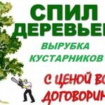 Отабек:  Спил, удаление деревьев и расчистка участков