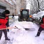 ДРСК-Центр:  Уборка, вывоз, снега: в ручную, трактором-погрузчиком