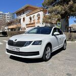 Илья:  Аренда автомобиля Skoda Octavia 2019 АТ