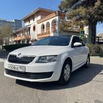 Илья:  Аренда автомобиля Skoda Octavia АТ