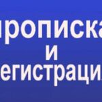 Ольга:  Временная или постоянная помощь(регистрация). Возьму в дом