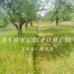 Алексей:  Благоустройство участка