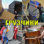 Виолетта:  Грузчики разнорабочие