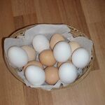 Алексей:  Куриные яйца