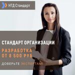 Сергей:  Разработка стандарта организации