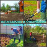 Ярослав:  Вспашка, вскапывание и культивация земли