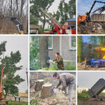 Роман:  Спиливание деревьев, земляные работы, демонтаж