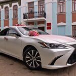 Виктор:  Свадебный кортеж lexus ES VII