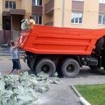 Виталий:  Вывоз мусора