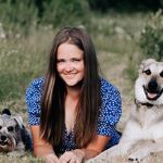 Анастасия:  Дрессировка и передержка собак 