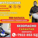 Артур Дезинфекция:  Уничтожение клопов, тараканов, крыс