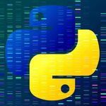 Учебный центр Бизнес-ИТ:  Курсы Python