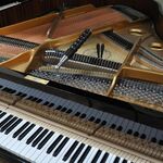 Master Pianino:  Настройка ремонт и реставрация пианино, роялей в Томилино