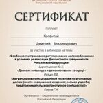 Адвокат Колонтай Дмитрий Владимиров:  Адвокат по уголовным делам Колонтай Дмитрий Владимирович