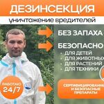 Дезинсектор:  Дезинсекция / Дезинфекция / Уничтожение насекомых, грызунов