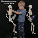 Владимир:  Шагающий скелет для оформления мероприятий и фотозон