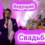 Андрей:  Ведущий Тамада на свадьбу банкет юбилей DJ Караоке