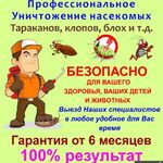 Антон:  Уничтожение насекомых