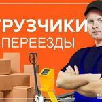 Семён:  Переезды Грузчики Газель