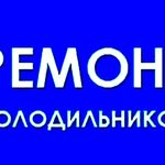 Виктор:  РЕМОНТ ХОЛОДИЛЬНИКОВ  