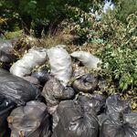 николай:  вывоз мусора с дачного участка