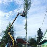 Василий СПЕЦИАЛИСТ:  СПИЛ ДЕРЕВЬЕВ, ОБРЕЗКА 