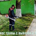 ИСМ переработка:  Покос и озеленение в Севастополе и окрестностях