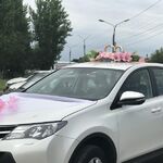 Екатерина:  Сдам автомобиль RAV4 на свадьбу