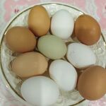 Ольга:  Яйца куриные домашние