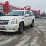 Дитрих:  Авто на свадьбу VIP класса Cadillac Escalade