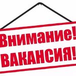 Элитцентр:  Зам. директор по учебной работе