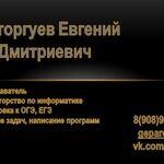 Евгений Расторгуев:  Репетитор по информатике. Подготовка к ОГЭ, ЕГЭ