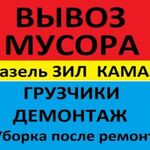 Алексей:  Перевозки,переезды.Вывоз мусора,веток.Демонтаж,снос-домов