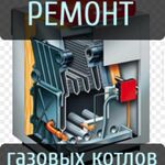 Дмитрий:  Ремонт газовых котлов