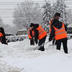 Даниил:  Уборка и вывоз снега с погрузкой.Ручная уборка снега.