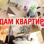 Ксения:  Риэлторские услуги по аренде жилья для собственников