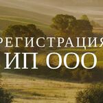 Александр:  Регистрация ИП и ООО для бизнеса