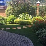 Оксана :  Все виды садовых услуг 