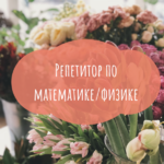 София:  Репетитор по математике и физике 1-11 классы