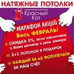 Алёна:  НАТЯЖНЫЕ ПОТОЛКИ