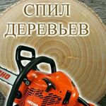 Сергей:  Спил деревьев