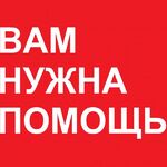 Дмитрий :  КАК ВАМ ПОМОЧЬ? Расчистка уборка и дальнейшее выравнивание.