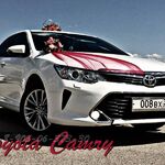 Andrey:  Toyota Camry new - современные авто бизнес класса на свадьбу в Волгограде. Машины и украшения.