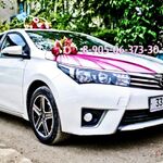 Andrey:  Аренда свадебного кортежа Toyota Corolla. Машины и украшения для свадебных авто в Волгограде.