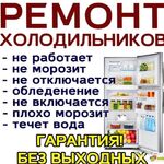 Азамат:  Ремонт холодильников Шамонино на дому 