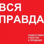 Дмитрий :  РАЗОБЛАЧЕНИЕ И ВСЯ ПРАВДА О ПОДГОТОВКЕ УЧАСТКА К ПРОДАЖЕ.