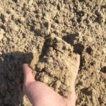 Иван:  Песок под тротуарную плитку