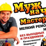 Роман:  Мастер на час