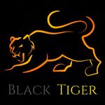 Black Tiger:  Расклейка листовок, активные промоутеры,  и др. реклама